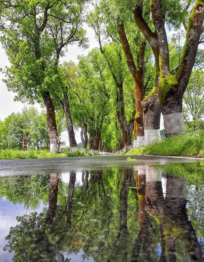 Varanda Do Alentejo มาร์เวา ภายนอก รูปภาพ